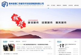 乌坡镇城市开发投资集团有限公司