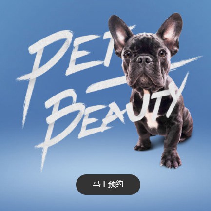 乌坡镇宠物中心小程序开发