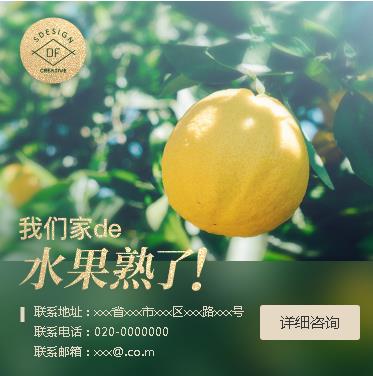 乌坡镇果园果林小程序开发